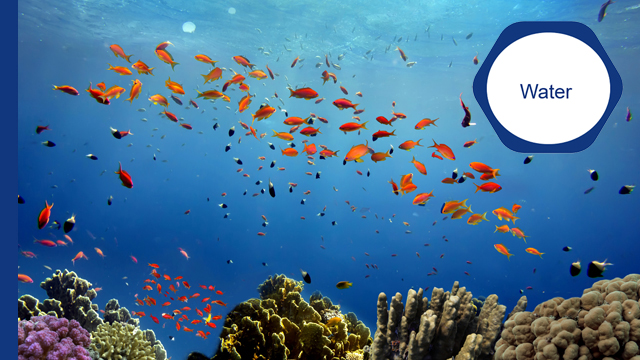 Marine water treatment