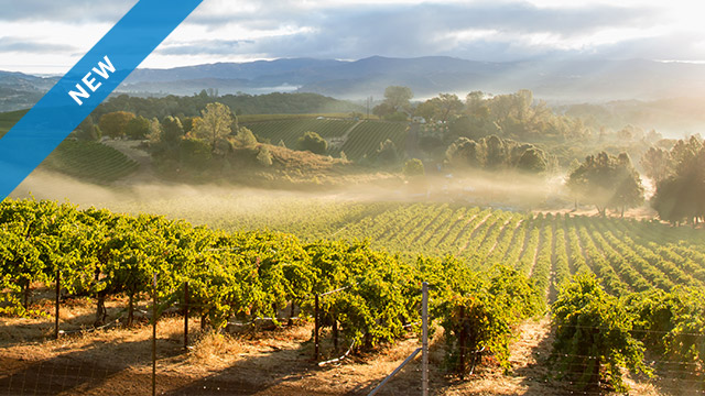 Centrifuge voor wijnhuizen